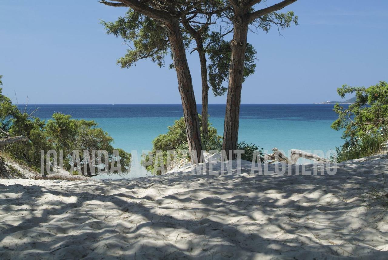 Iolanda Apartment 30M From Seaside Alghero Exteriör bild