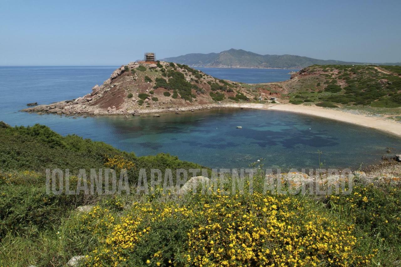 Iolanda Apartment 30M From Seaside Alghero Exteriör bild